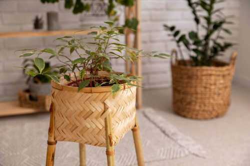 Rattan Plant Stand